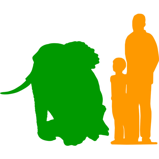 Elephant Sitting On Tree Statue