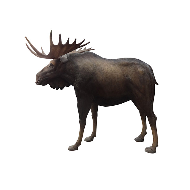 Moose Life Size Statue