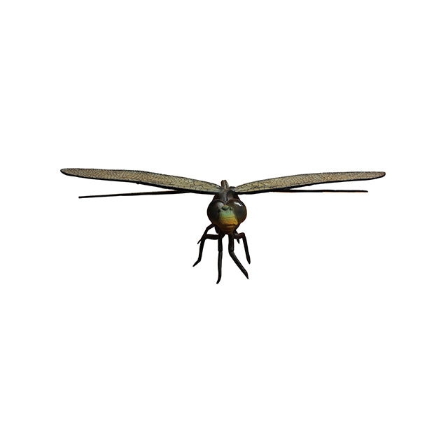 Dragonfly Insect Over Sized Statue