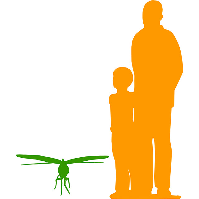 Dragonfly Insect Over Sized Statue