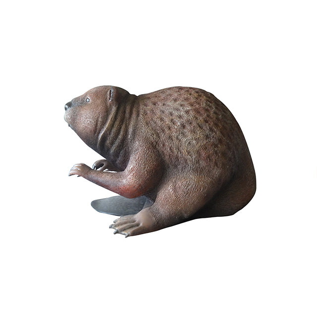 Beaver Life Size Statue