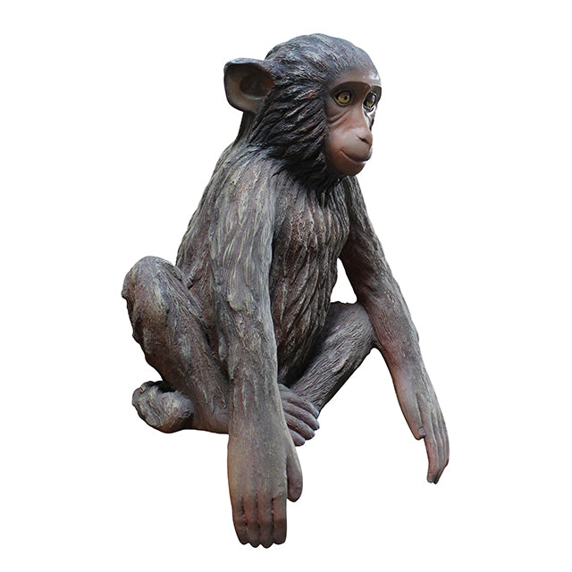 Monkey Hunky Chimpanzee Life Size Statue