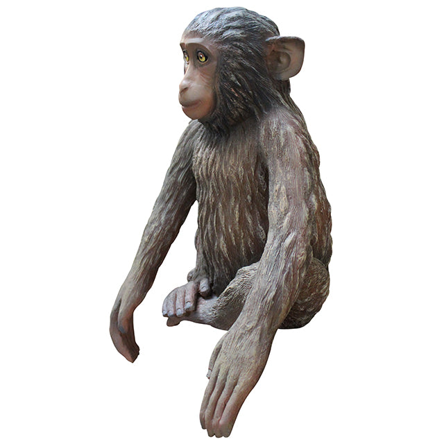 Monkey Hunky Chimpanzee Life Size Statue