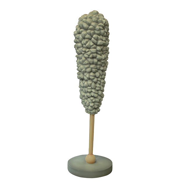 Rock Candy Standee Over Sized Statue