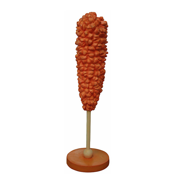 Rock Candy Standee Over Sized Statue