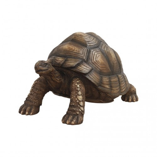 Turtle Life Size Statue