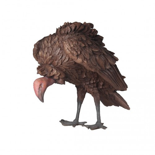 Vulture Life Size Statue