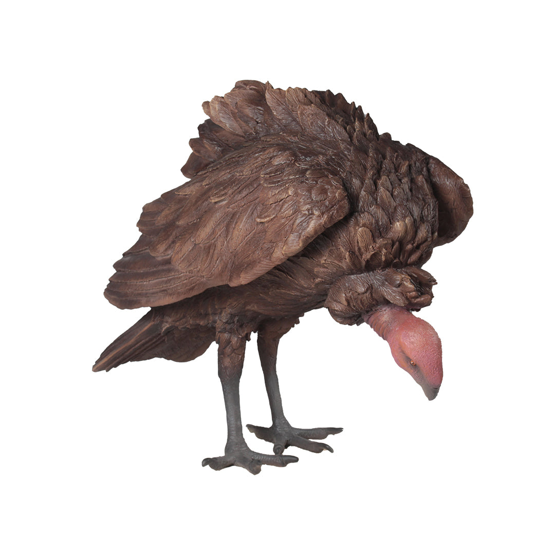 Vulture Life Size Statue