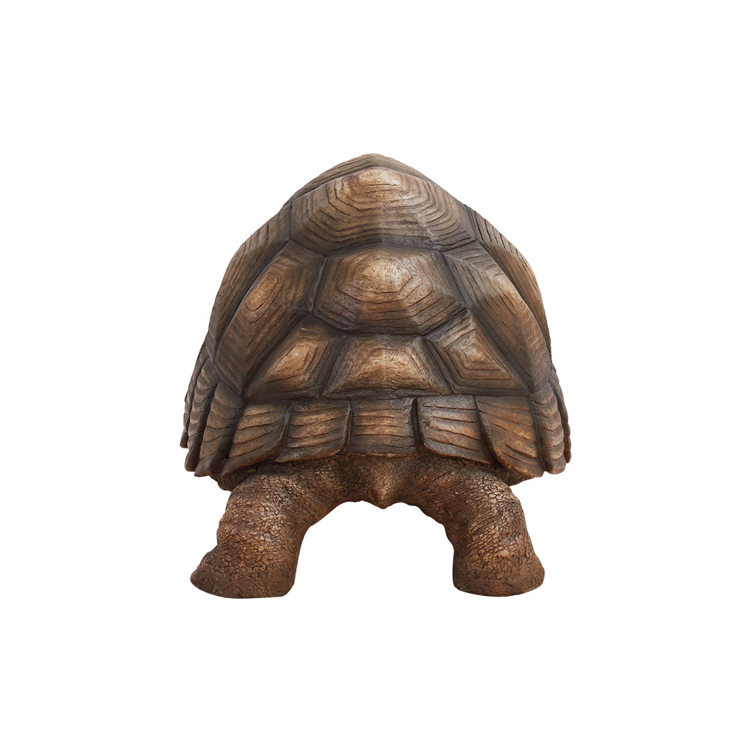 Turtle Life Size Statue