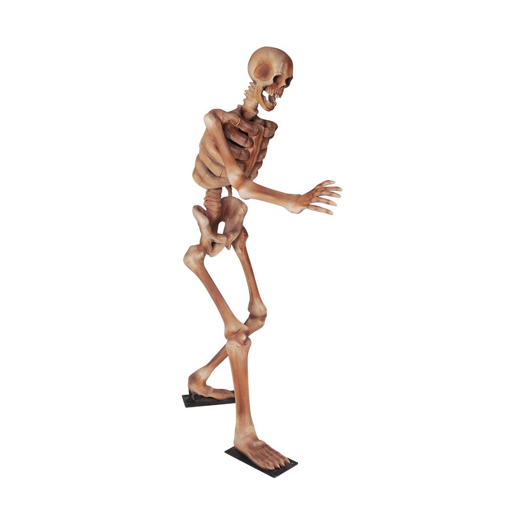 Skeleton Standing Styles Life Size Statue