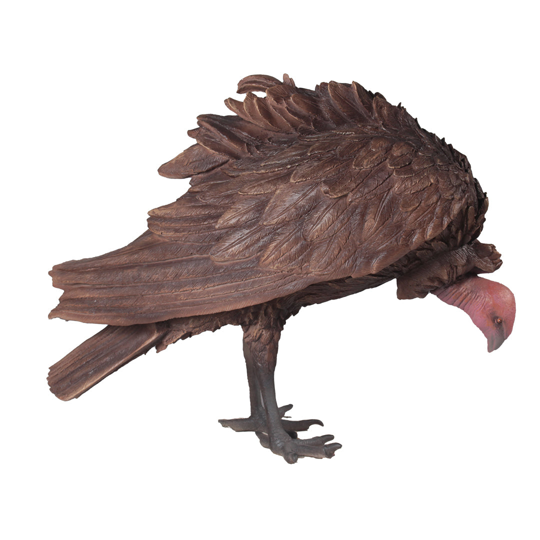 Vulture Life Size Statue
