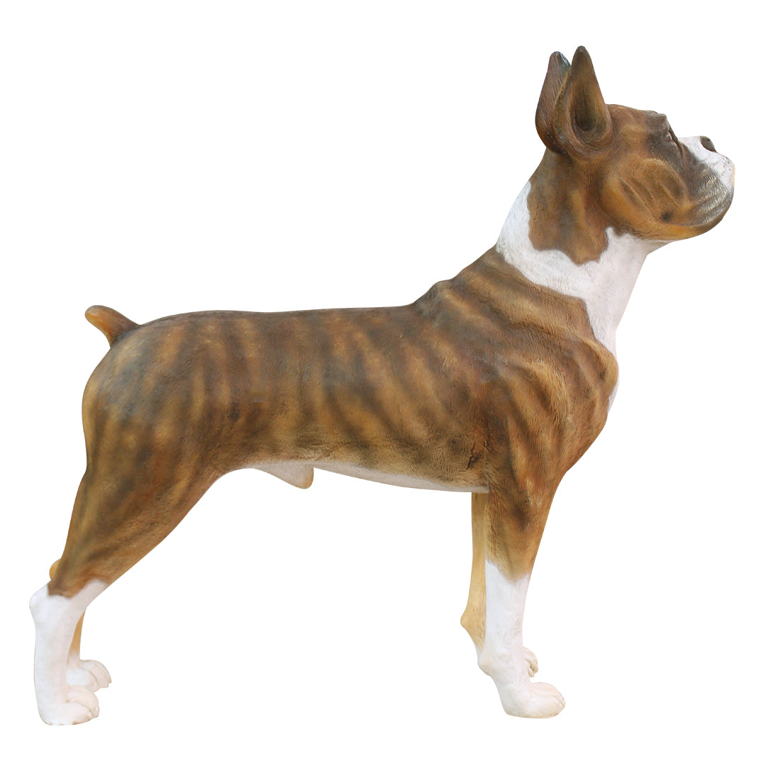 Dog Boxer Life Size Statue