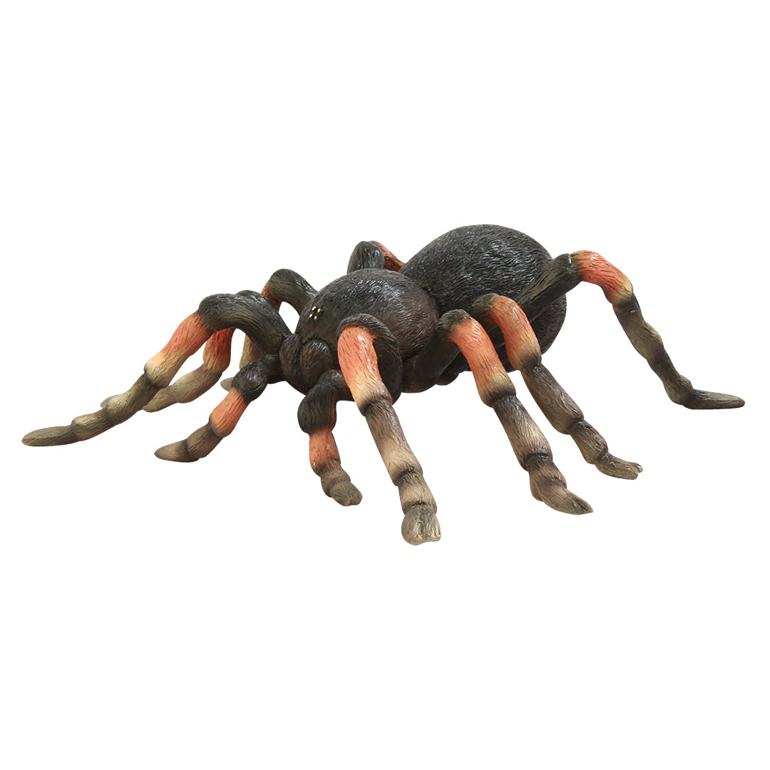 Tarantula Spider Over Sized Statue