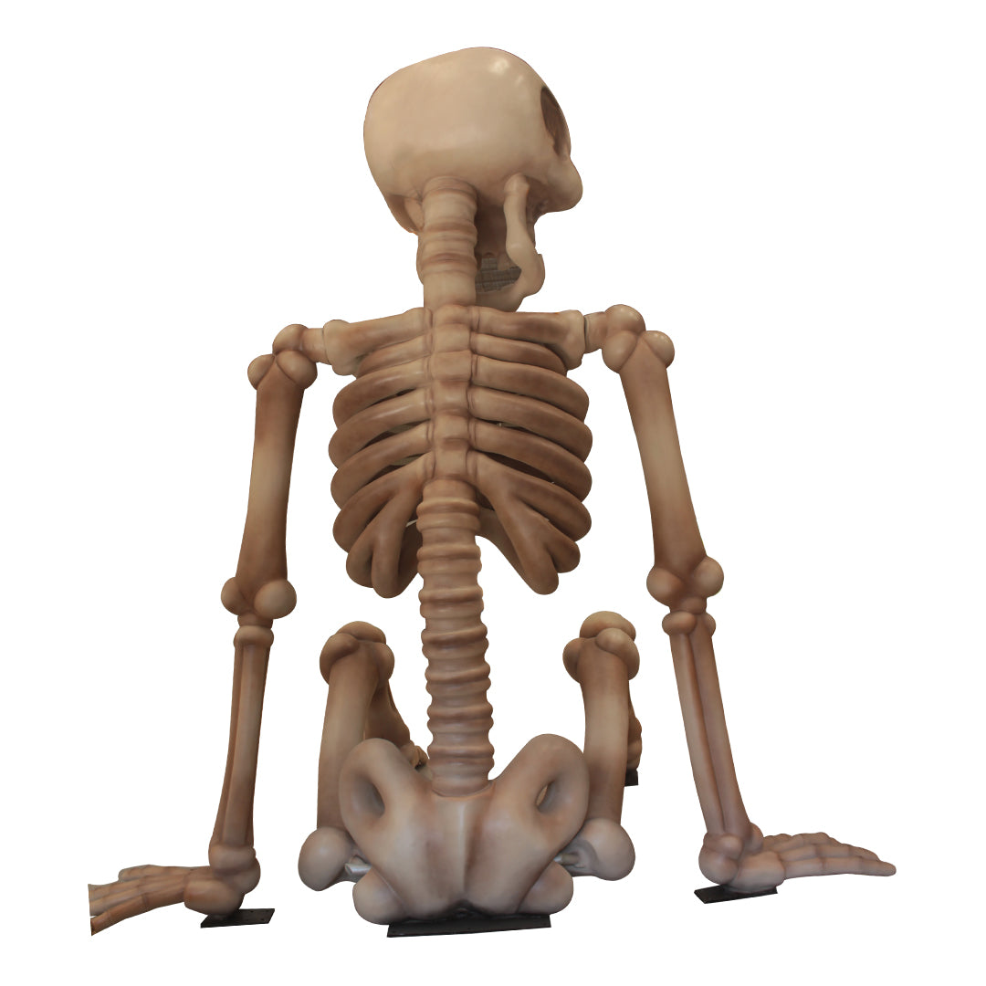 Jumbo Skeleton Sitting Over Sized Statue