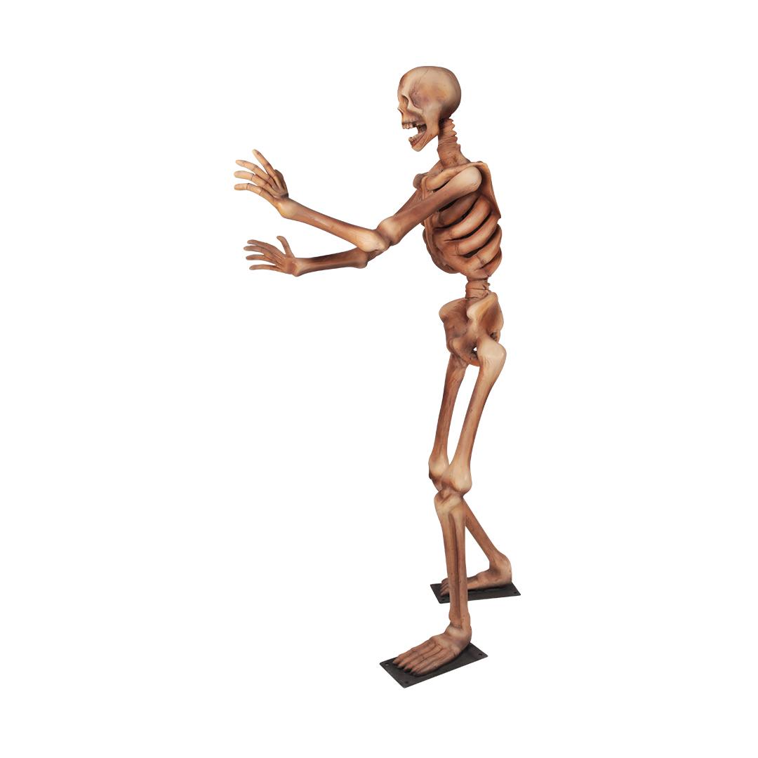 Skeleton Standing Styles Life Size Statue