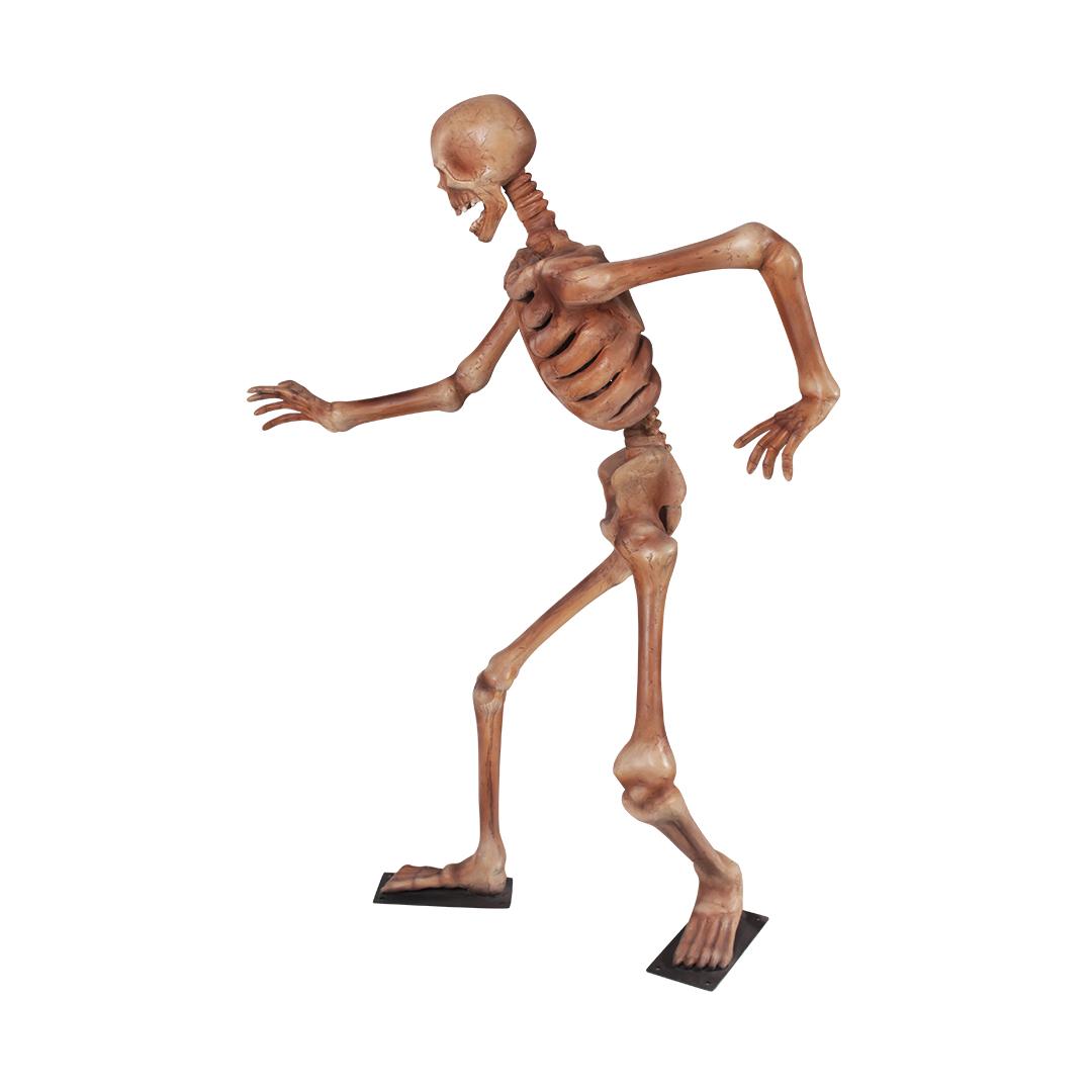 Skeleton Standing Styles Life Size Statue