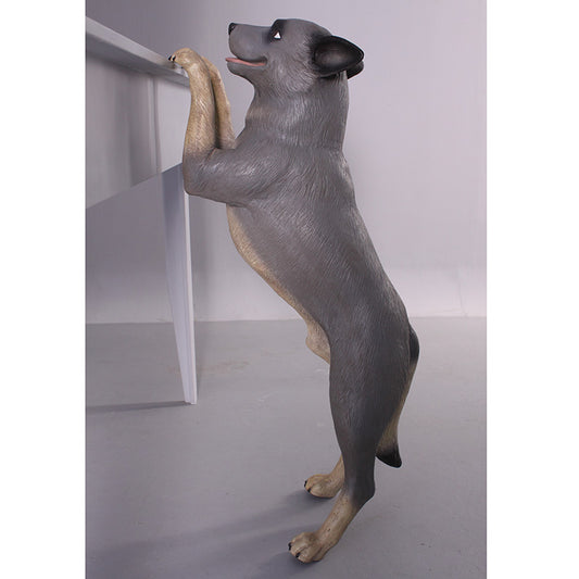 Blue Heeler Dog Life Size Statue