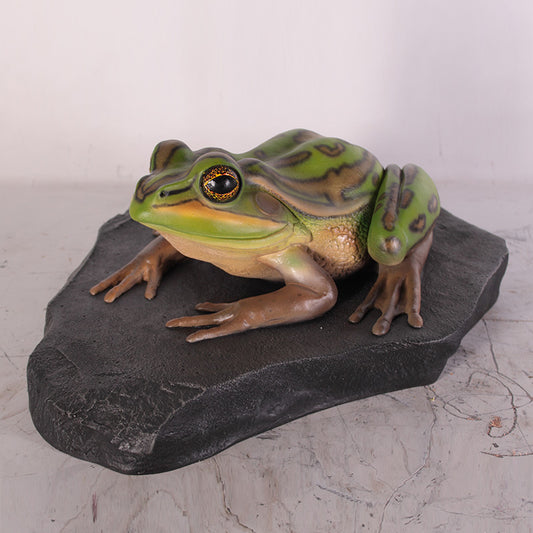 Green and Golden Bell Frog on Rock Life Size Statue