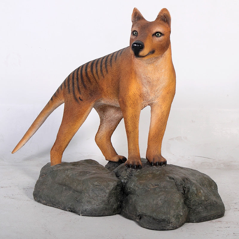 Tasmanian Tiger Life Size Statue