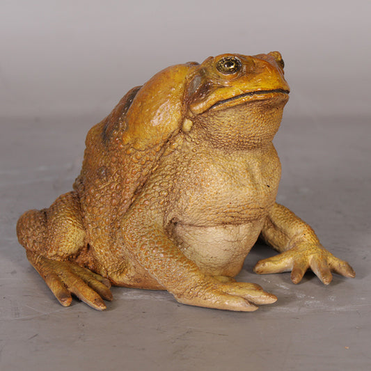 Cane Toad Life Size Statue
