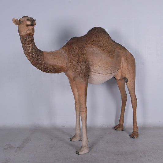 Dromedary Camel Female Life Size Statue