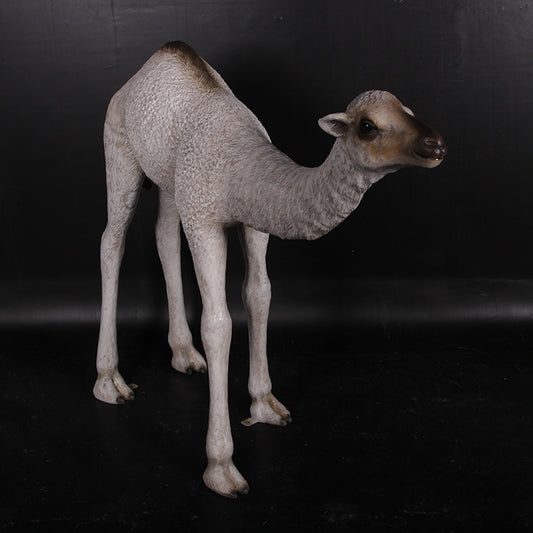 Dromedary Camel Calf Life Size Statue