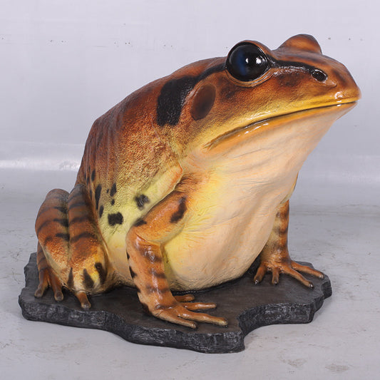 Great Barred Frog Life Size Statue
