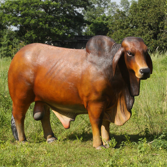 Brahman Bull Life Size Statue