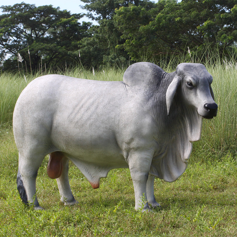 Brahman Bull Life Size Statue