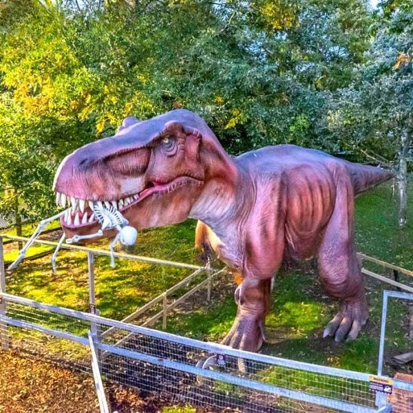 Jurassic Hotel Attractions Giant Animatronic T-Rex