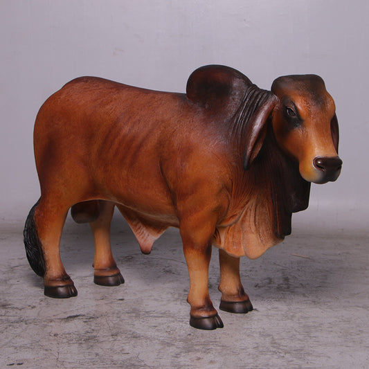 Definitive Brahman Looking Right Life Size Statue