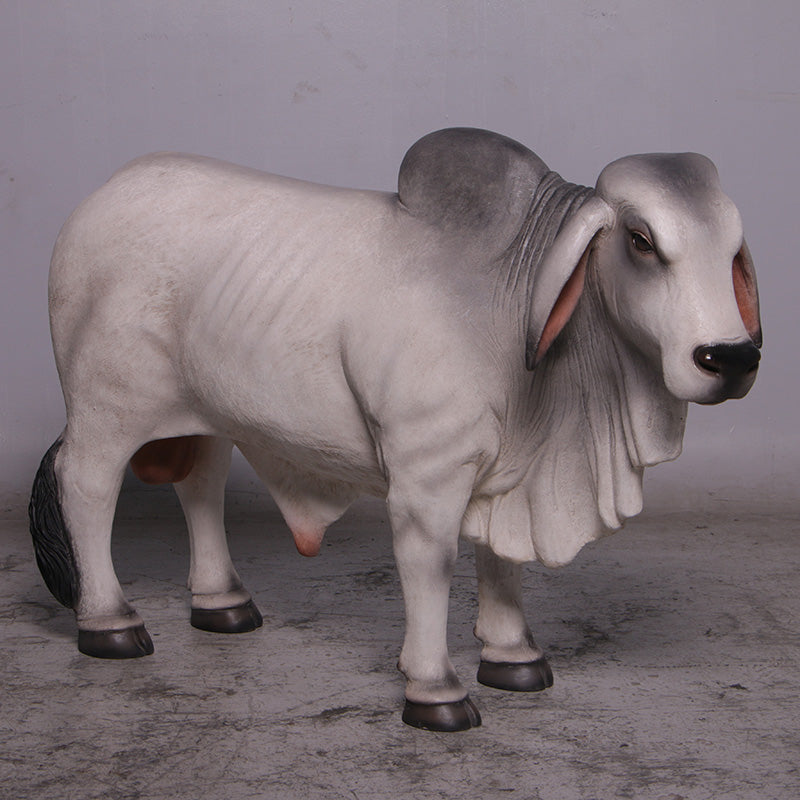 Definitive Brahman Looking Right Life Size Statue