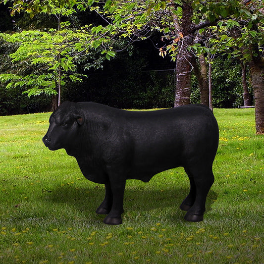 Definitive Angus Life Size Statue