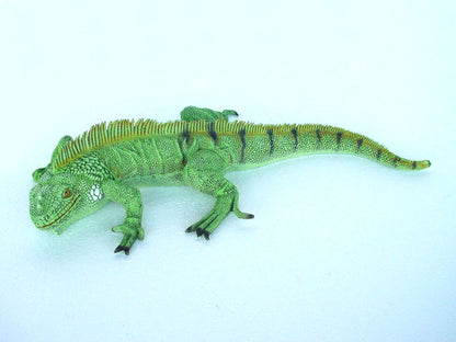 Green Iguana Life Size Statue