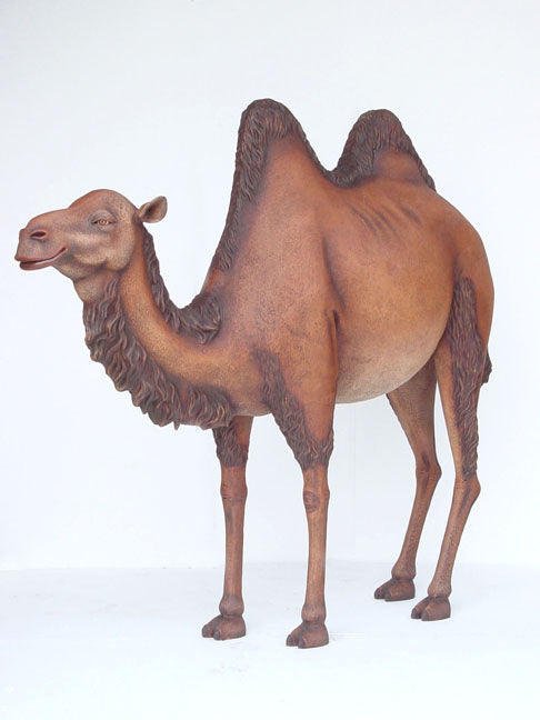 Camel Life Size Statue