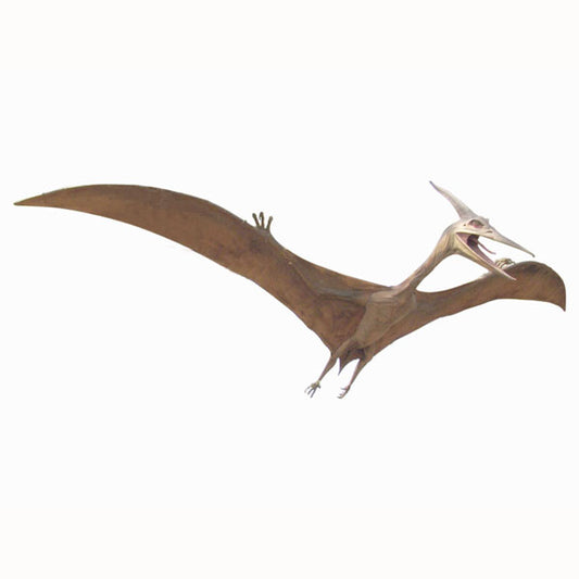 Pterosaurus Dinosaur Life Size Statue