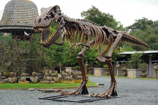 T-Rex Skeleton Life Size Statue