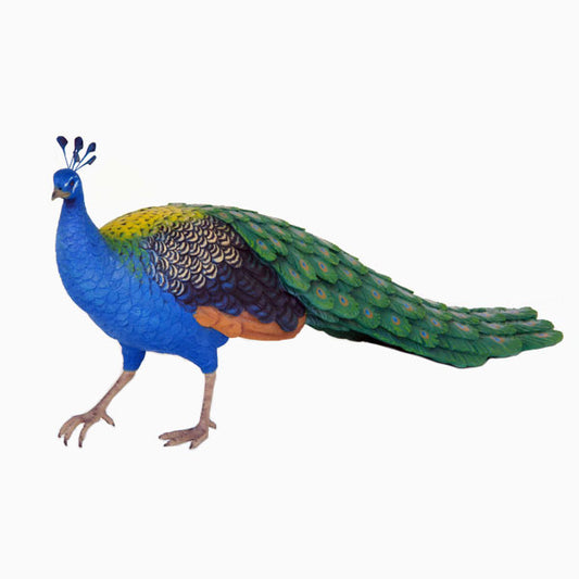 Peacock Male Life Size Statue