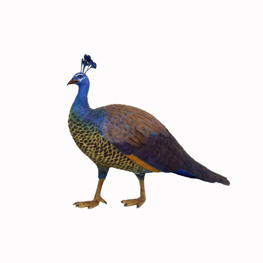 Peacock Female Life Size Statue