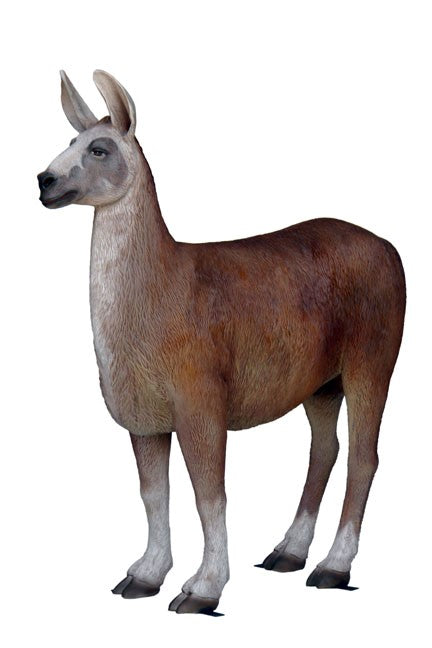 Llama Life Size Statue