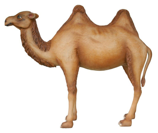 Camel Life Size Statue