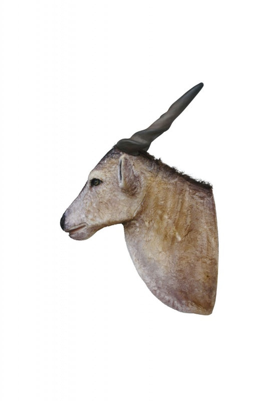 Eland Oryx Head Life Size Statue