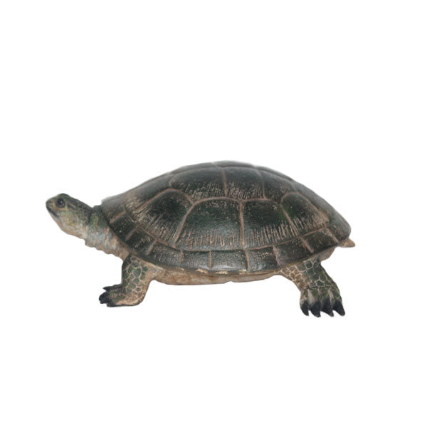 Blanding's Turtle Life Size Statue