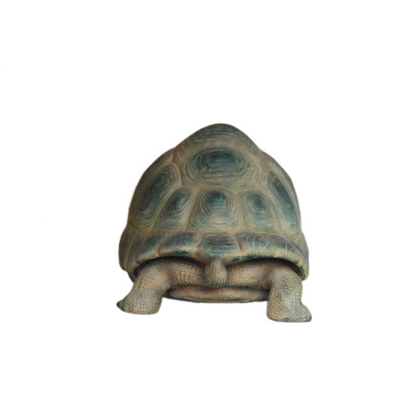 Aldabra Turtle Life Size Statue