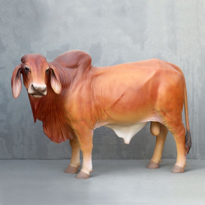 Brahman Bull Life Size Statue