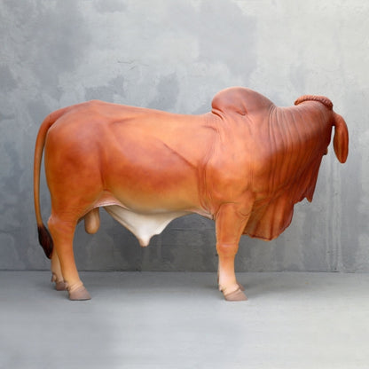 Brahman Bull Life Size Statue