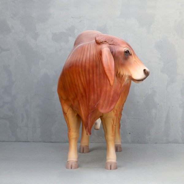 Brahman Bull Life Size Statue