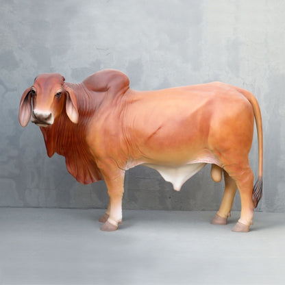 Brahman Bull Life Size Statue