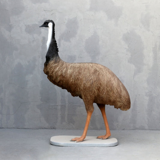 Emu Bird Life Size Statue