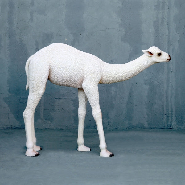 Baby Camel Life Size Statue